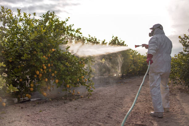 Pest Control for Restaurants in Pinebluff, NC