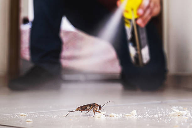 Professional Pest Control in Pinebluff, NC